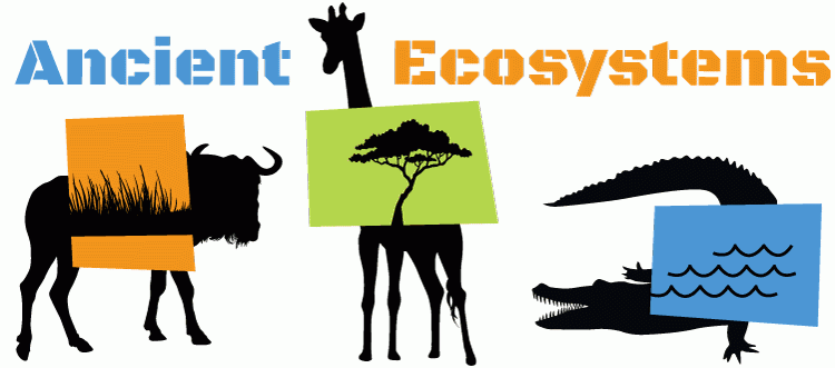 What animal fossils tell us about ancient ecosystems